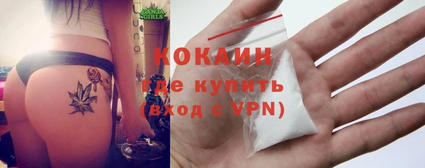 дурь Каменка