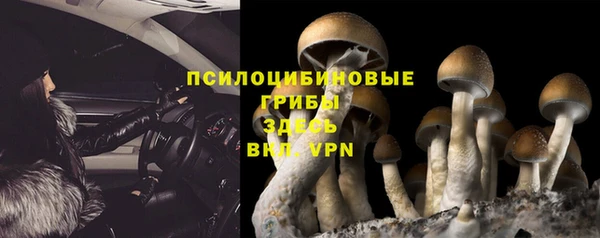 гидропоника Каменск-Шахтинский