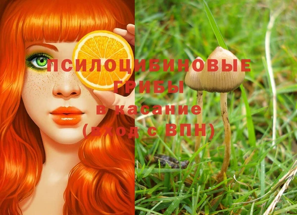 хмурый Каменногорск